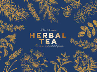 Vector hand drawn tea herb Illustration.