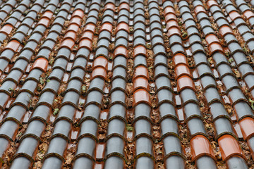 Obraz premium rows of wet roof tiles house close-up, background, texture