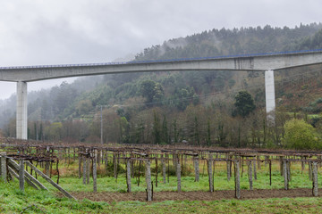 Fototapeta premium road bridge over vineyards in rainy weather