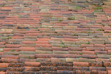rows of wet roof tiles house close-up, background, texture
