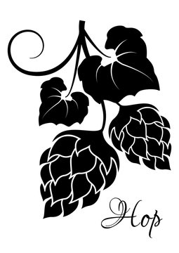 Black silhouette of hop cones with leaves. Design element for brewery, beer festival, bar, pub . Vector illustration.