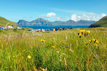 field of wild flowers with town and mountains in the back