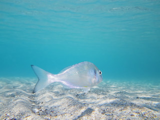 Underwater