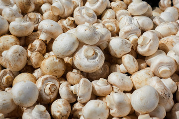 Fresh mushrooms on the counter of the store