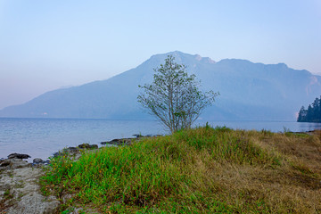 single tree stands on edge of lake against mountain background