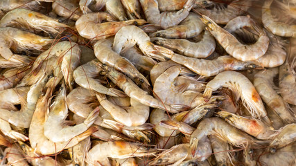 Fresh shrimp at seafood market, Thailand