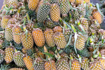 Fresh pineapples stacked for sell in the fruit market