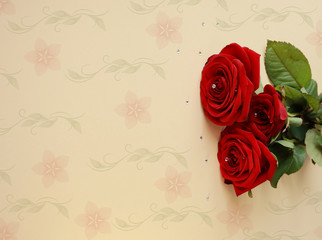 beautiful red roses for greeting card