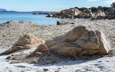 Green water and dry seagrass on a winter beach in