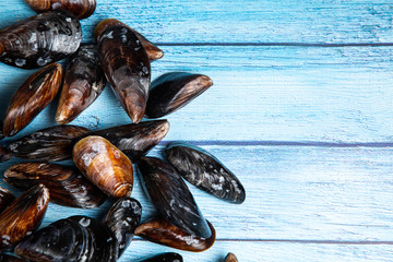 Fresh raw mussels on blue wooden backgound