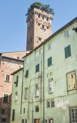 Torre Guinini en Lucca , Pueblo de la región de la Toscana en Italia
