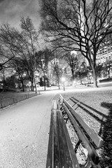 Night view of Central Park with bench, trees and skyscrapers, New York City