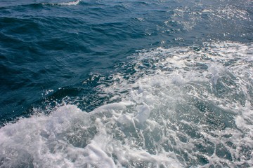 Fototapeta premium sea foam