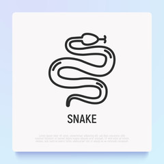 Snake thin line icon. Modern vector illustration for Chinese horoscope.