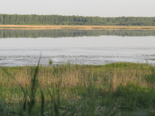 lake