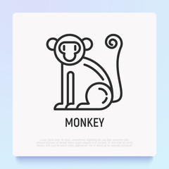 Cartoon monkey thin line icon. Modern vector illustration for Chinese horoscope.