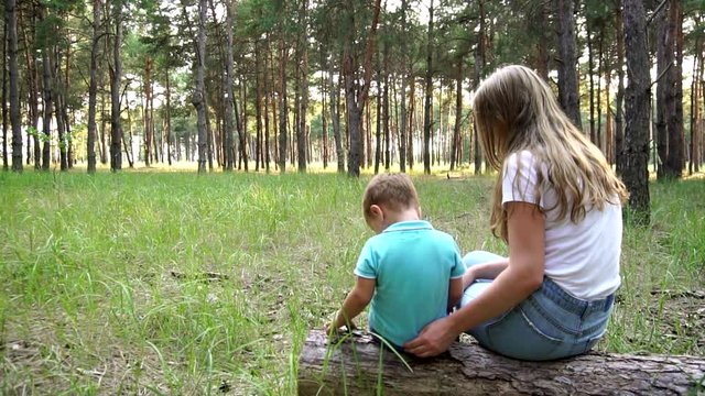 Nice little family of young sister and adorable brother sitting together on fallen tree turned back to pine forest