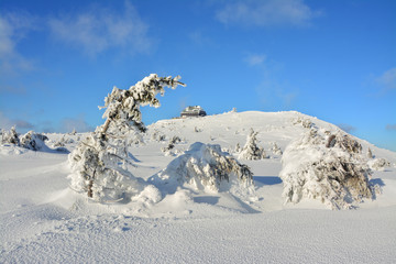piękny zimowy górski krajobraz, Sudety