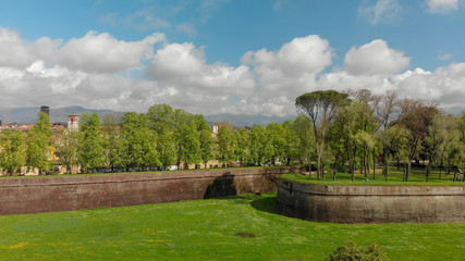 Fototapeta na wymiar Aerial view of Lucca Medieval Walls on a sunny day, Tuscany - Italy