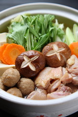 Japanese hot pot