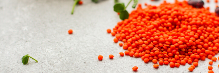 Lentils orange, healthy food concept (legumes, greens, spinach, micro greens and more) superfood. Food background