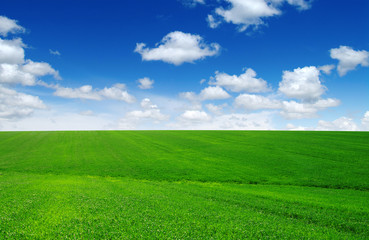 Field and blue sky with white clouds