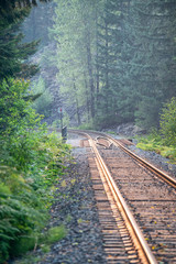 Railway surrounded by forest ground view