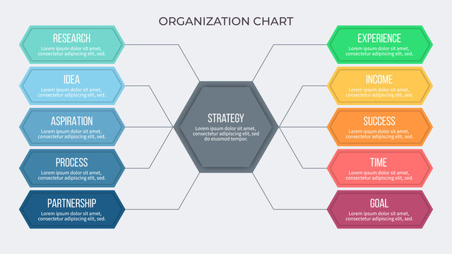 Business infographic. Organization chart with 10 options. Vector template.