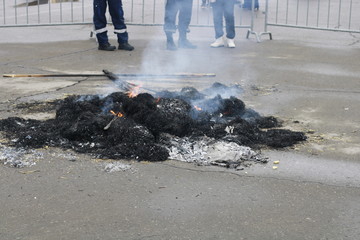 ashes after burning effigies