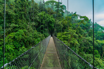Fototapety  Costa Rica arenal hanging bridge