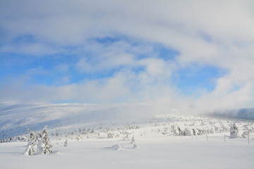 Fototapeta na wymiar piękny zimowy górski krajobraz, Sudety