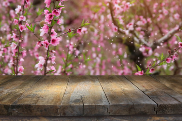 wooden table in front of spring blossom tree landscape. Product display and presentation