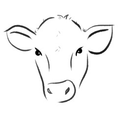 vector lama line illustration 