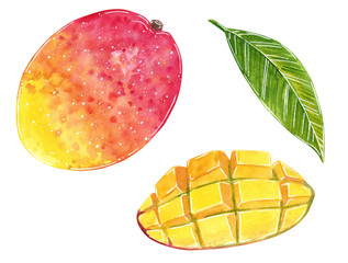 Mango clipart set. Hand drawn watercolor illustration isolated on white, cartoon style.