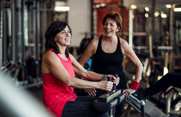Two cheerful senior women in gym doing strength workout exercise.