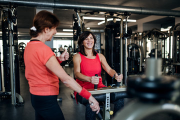 Two cheerful senior women in gym doing strength workout exercise.