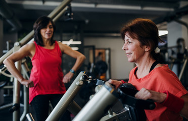 Two cheerful senior women in gym doing strength workout exercise.