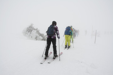 Fototapeta narciarze we mgle, zima obraz