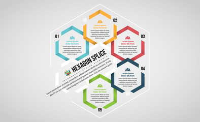 Hexagon Splice Infographic
