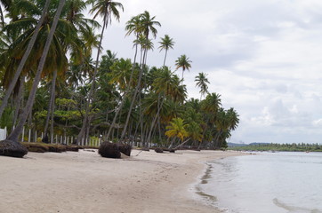 Praia dos Carneiros - Pernambuco