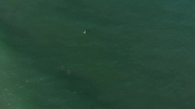 Lonesome surfer in the ocean - HD