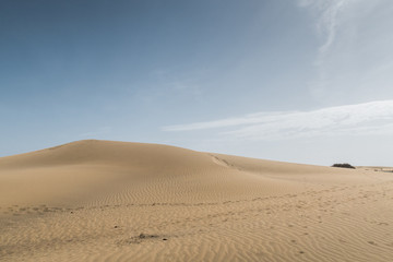 Fototapeta na wymiar Desert landscape with Blue Sky and Wave pattern in sand, Spain