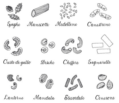 Hand drawn large set of different types of Italian pasta. Vector linear illustration.