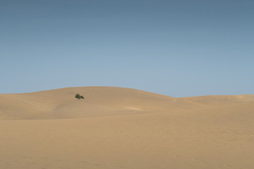 Desert landscape with Blue Sky and Wave pattern in sand, Spain