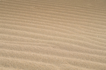 Fototapeta na wymiar Desert landscape with Wave pattern and texture in the Sand, Spain