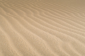 Desert landscape with Wave pattern and texture in the Sand, Spain