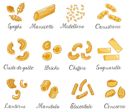 Hand drawn large set of different types of Italian pasta. Vector illustration, colored.