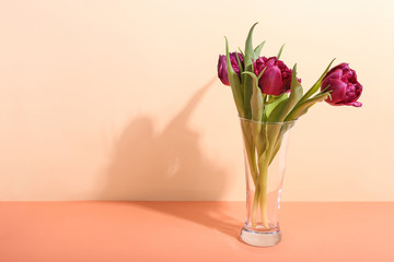 Tulips in a vase on a bright background, the morning shadow from sunlight. Concept art for greeting card.