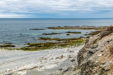 Fototapeta na wymiar Limestone cliffs, rock and driftwood strewn beaches and flora in the hills in Bellbuns, Newfoundland, Canada