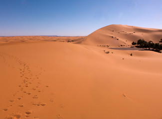 Fototapeta na wymiar Sanddünen in der Wüste Sahara im Süden von Marokko. Die Sandwüste von Erg Chebbi